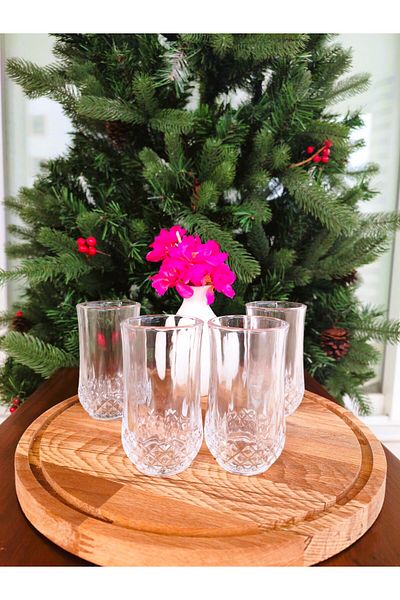Madame Coco Adrey 4-Pack Long Size Liquor Glasses