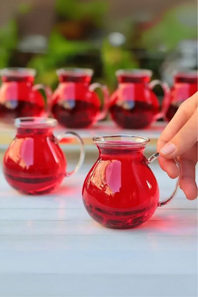 Go İthalat Heat Resistant 6-Piece Borosilicate Glass Cups Set with Handles Modern Tea Cup Set