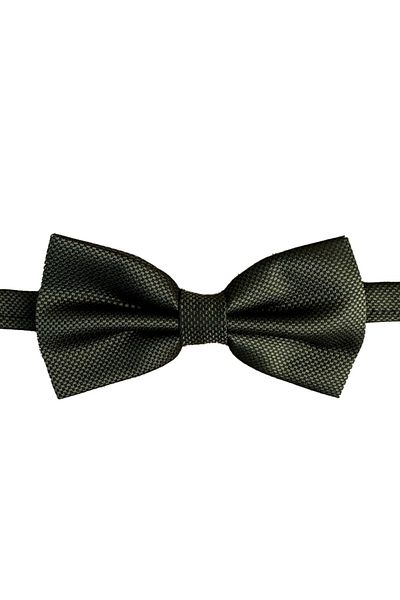 SIRRI Modern and Stylish Large Bow Tie for Men 14 Years and over (6X12 cm)