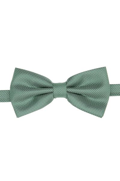 SIRRI Modern and Stylish Large Bow Tie for Men 14 Years and over (6X12 cm)