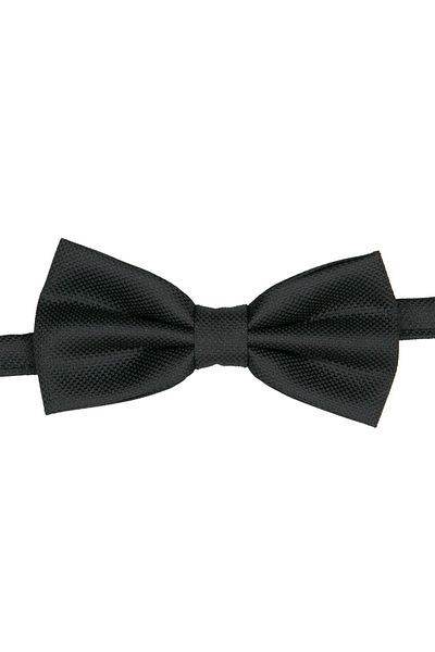SIRRI Modern and Stylish Large Bow Tie for Men 14 Years and over (6X12 cm)