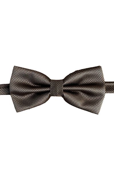SIRRI Modern and Stylish Large Bow Tie for Men 14 Years and over (6X12 cm)