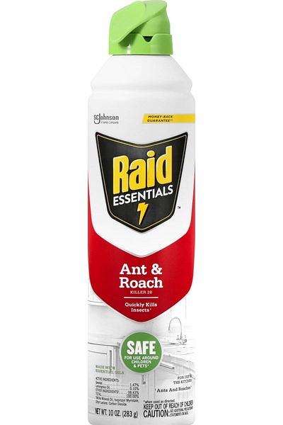 Raid بخاخ إيروسول للقضاء على النمل والصراصير من Essentials، آمن للأطفال والحيوانات الأليفة، يقضي على الحشرات بسرعة، للاستخدام الداخلي والخارجي.
