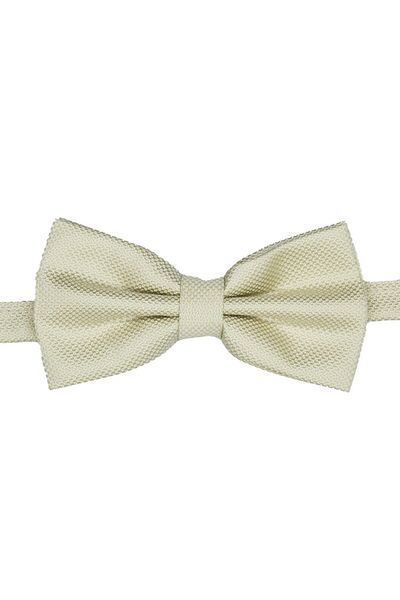 SIRRI Modern and Stylish Large Bow Tie for Men 14 Years and over (6X12 cm)