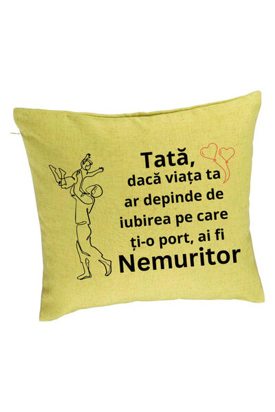 BEKZ Perna Decorativa, Model pentru Tata 10, 40x40 cm, Verde, Husa Detasabila...