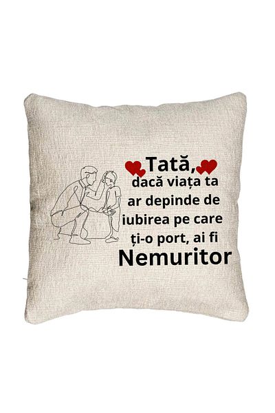 BEKZ Fata de perna Canapea, Model pentru Tata 3, 40x40 cm, Cu fermoar