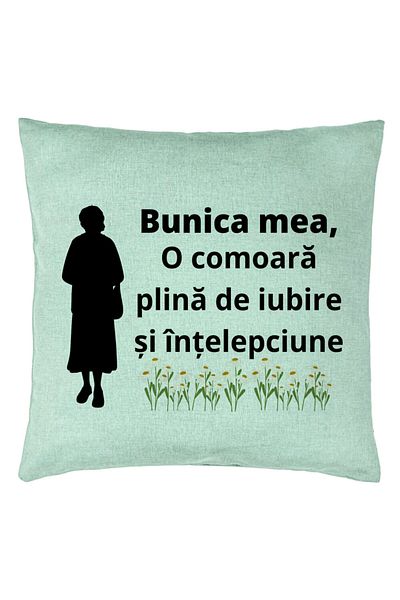 BEKZ Față de pernă pentru bunica 17, 40x40 cm, verde mentă
