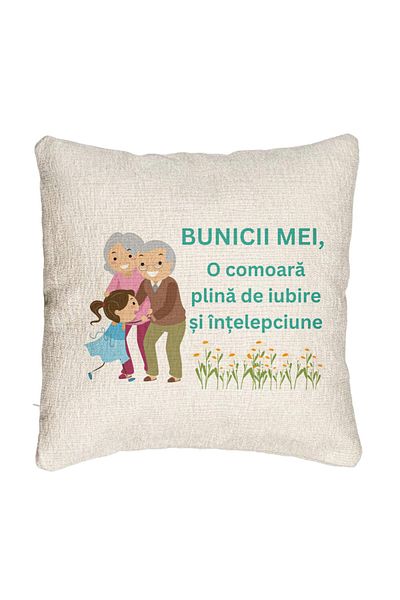 BEKZ Fata de perna Canapea pentru Bunici 3, 40x40 cm, Cu fermoar