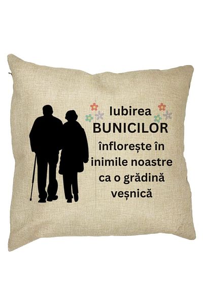 BEKZ Perna Decorativa pentru Bunici 1, 40x40 cm, Husa Detasabila, Burduf