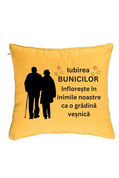 BEKZ Față de pernă pentru bunici 1, 40x40 cm, galbenă