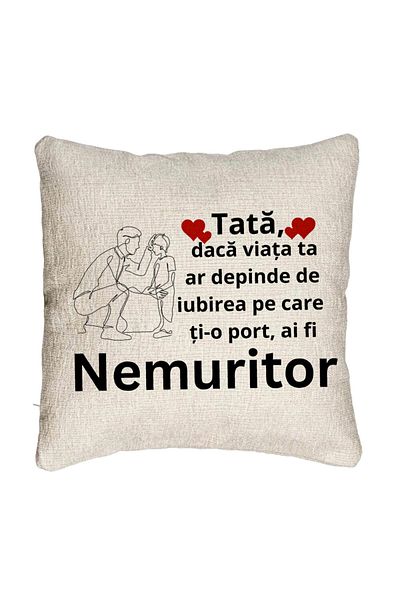 BEKZ Perna Decorativa Canapea, Model pentru Tata 4, 40x40 cm, Cu fermoar