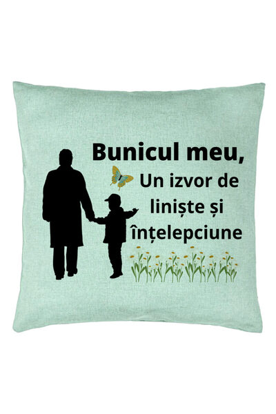 BEKZ Perna Decorativa pentru Bunicul 6, 40x40 cm, Verde Menta, Husa Detasabil...