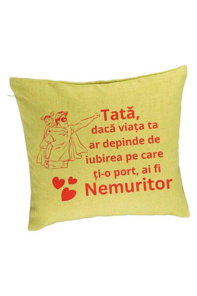 BEKZ Perna Decorativa, Model pentru Tata 11, 40x40 cm, Verde, Husa Detasabila...