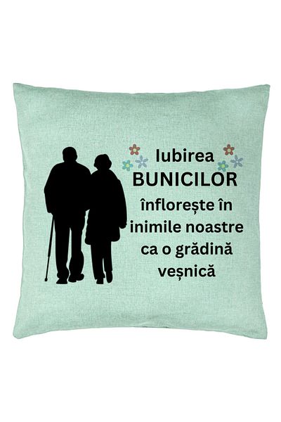BEKZ Față de pernă pentru bunici, 40x40 cm, verde mentă