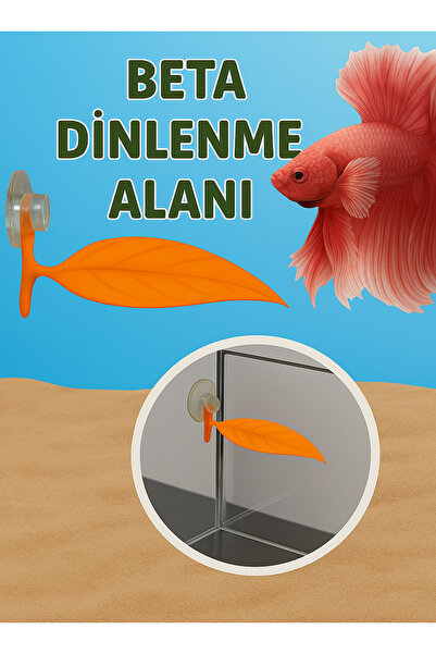 Akvaryum Beta Dinlenme Alanı ( Turuncu ) Betta Balığı Dinlenme Yaprağı Küçük Akvaryum & Büyük Akvaryuma Uygun