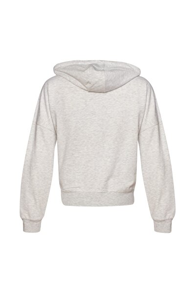 hummel T-IC ICONA FERMUARLI HOODIE