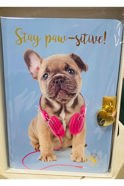 Dolphin Cem Studio Pets Locked Memory Book Hard Cover Dog Picture Blue Cover Pt-7789