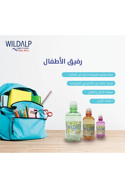WILDALP Wild Alp Junior School Water Carton Easy Open and Close 1*12*250ml (Nature's Gift for Your Child)