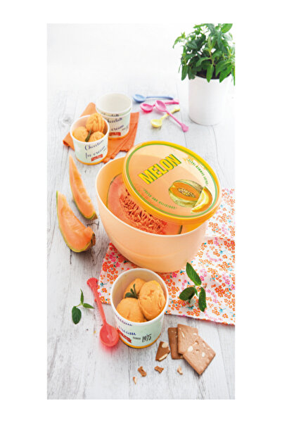 Snips Dishwasher Proof Lightweight BPA Free Plastic Melon Saver Orange 2 Liter