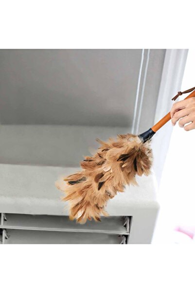 rexa Feather Dusters- with Solid Wooden Handle for Office Cleaning for Car Blinds Kitchen Keyboard