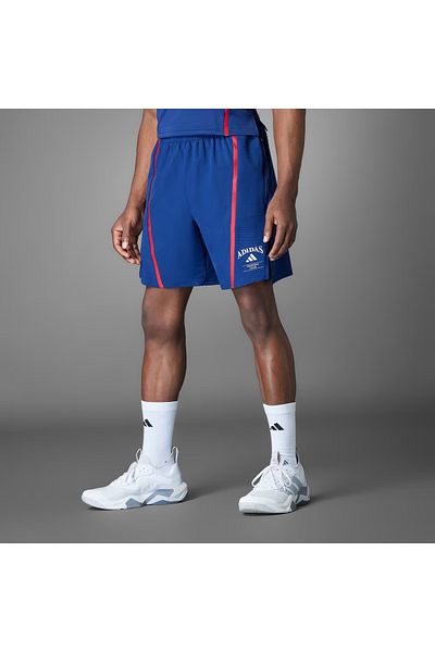 adidas D4T Heritage Shorts