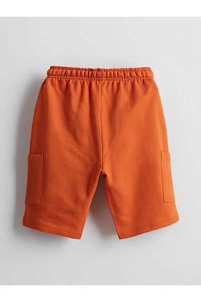 LC Waikiki Crew Neck Printed Boys' T-Shirts and Shorts 2-Piece