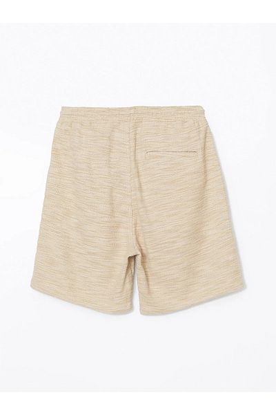 LC Waikiki Standard Fit Men's Shorts