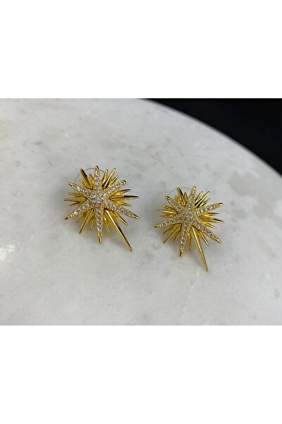 Byoz store 14k altın kaplama kuzey yıldızı gold taşlı küpe