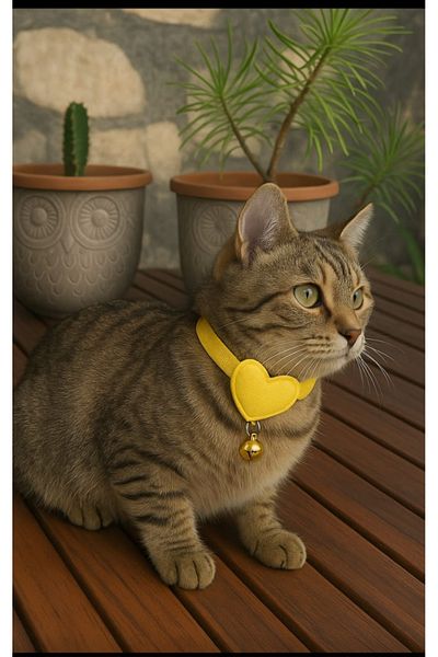 MIT Cat Collar with Heart