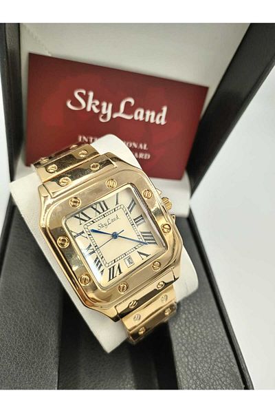 Skyland Skyland Steel Men's Watch