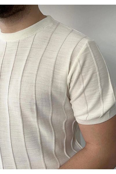 LC Waikiki Lc Waiki Crew Neck Short Sleeve Striped Men's Summer T-Shirt