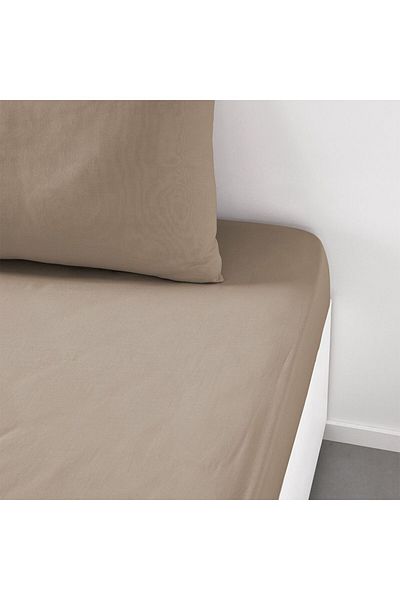 Danube Home Pristine Fit Double Fitted Sheet Beige 120X200Cm | 100% Cotton-144 Thread Count