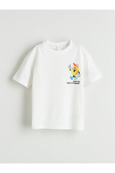 LC Waikiki Crew Neck Printed Boy's T-Shirt