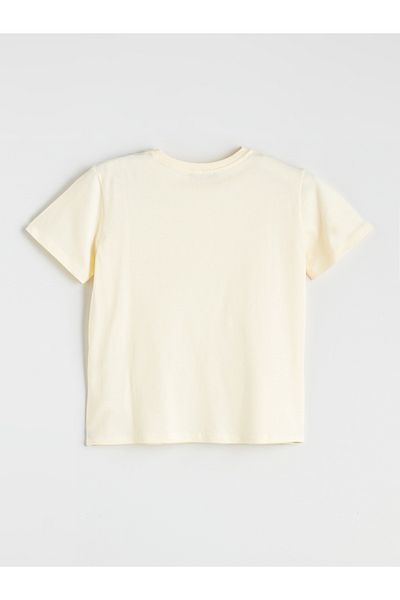 LC Waikiki Crew Neck Embroidered Women's T-Shirt