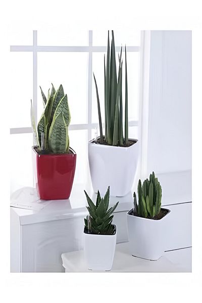 SERENE UV-Resistant Self-Watering Planter