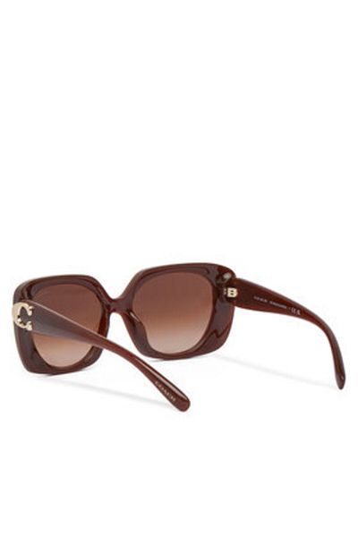 Coach Women's Sunglasses brown COACH-0HC8422U 584174