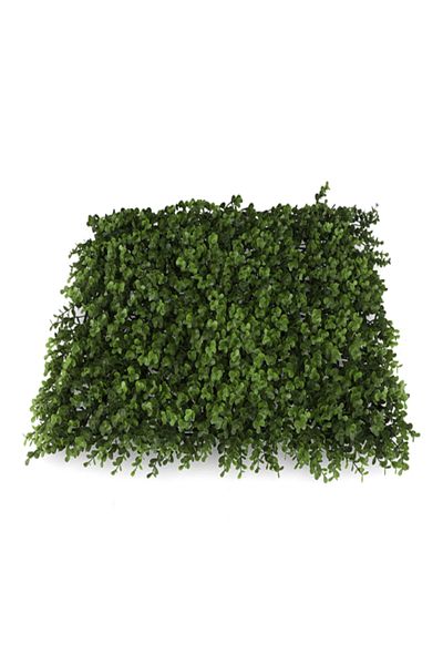 SERENE Durable and Realistic Looking Buxus Artificial Hedge