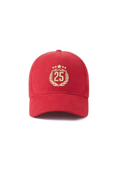 Galatasaray Licensed 5 Star 25 Championship Hat