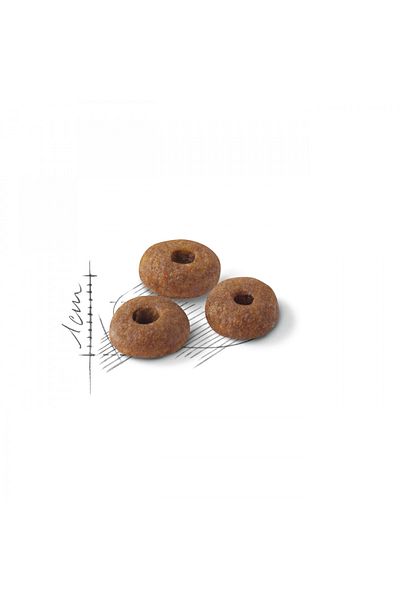 Royal Canin 400 Gr Fit 32 Adult Cat Food