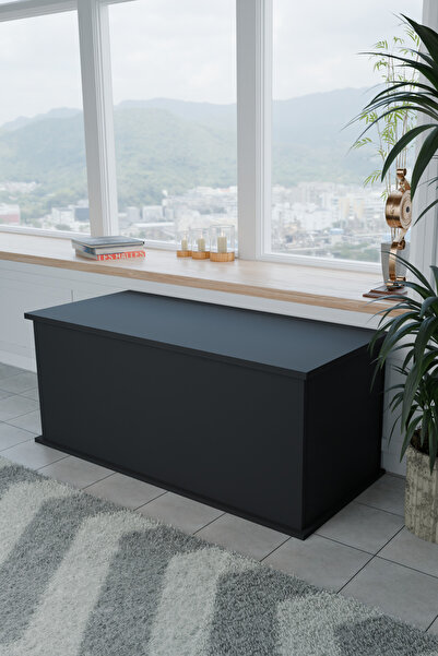 ECM PET Sandık Kapalı Kedi Tuvaleti Antre Mobilyası