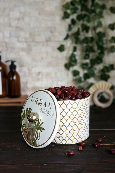 EVLE Food Storage Container with Forrest Pattern - 14X12.5 Cm, 1.7 Liter, Er142-3G