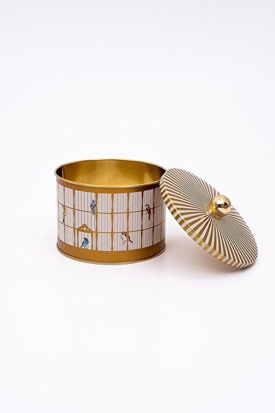 EVLE Metal Multi-Purpose Textured Storage Container, Decorative Storage Box 14 Cm, Bird Cage Er141-t7