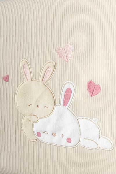 Bebitof Cute Heart Rabbit Patterned 10 Piece Boxed Newborn Hospital Release Set