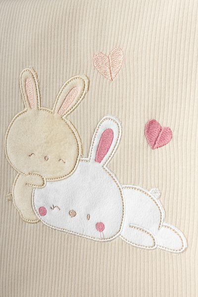 Bebitof Cute Heart Rabbit Patterned 10 Piece Boxed Newborn Hospital Release Set