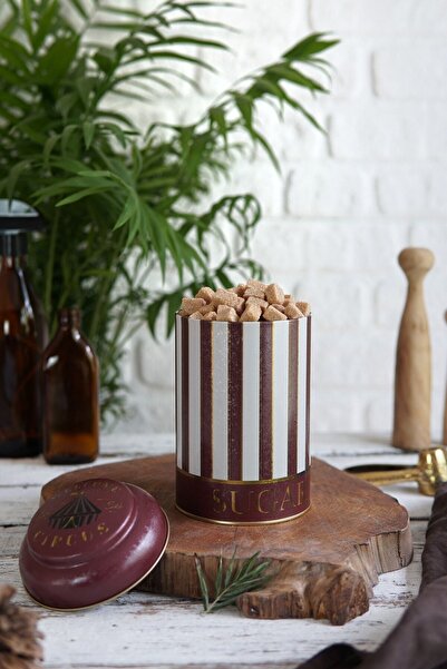 EVLE Er115-8j Circus Cream Sugar Desenli Baharatlık 1,1 Lt