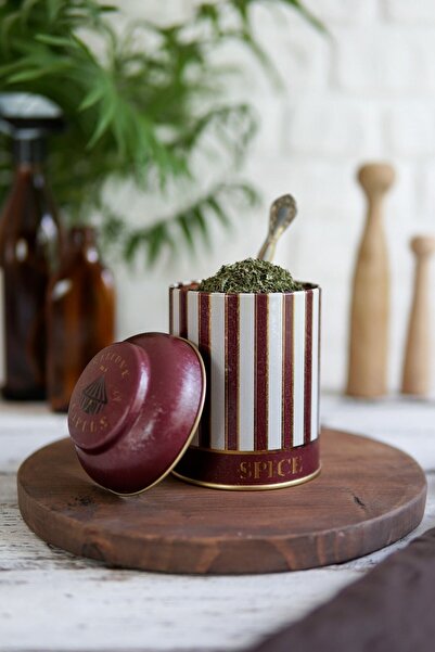 EVLE Er080-1l Circus Spice Desenli Baharatlık 0,6 Lt