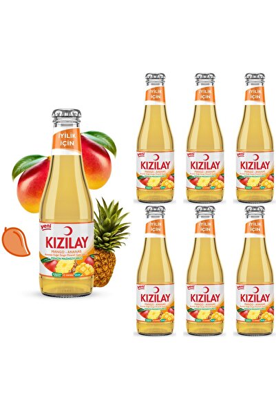 Kızılay MADEN SUYU DOĞAL MANGO ANANAS AROMALI 200 ml X 6 ADET