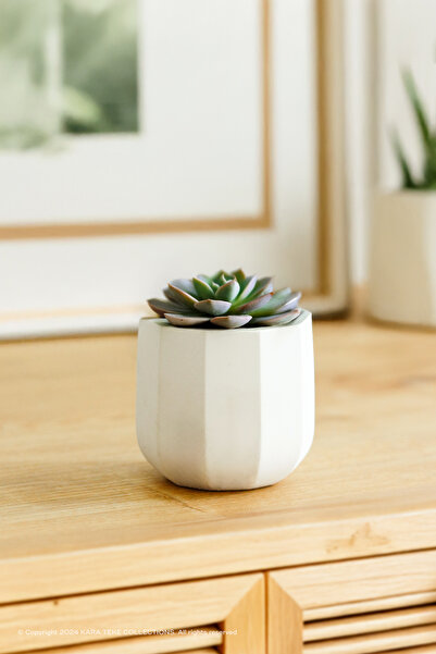 KARA TEKE COLLECTIONS Modern, Şık Ve Dekoratif Geometrik Ongen Beton Sukulent...