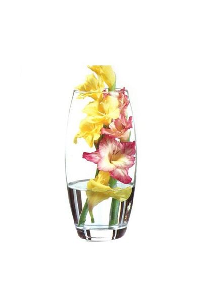 Paşabahçe 43966 Botanica Glass Vase