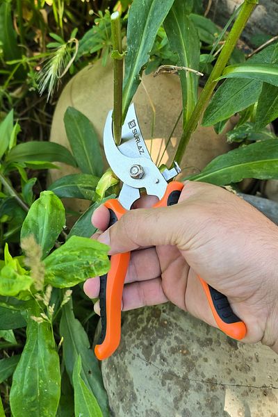 SürLaz Pruning Shears Vineyard Shears Grape Shears